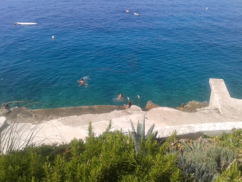 Apartment Svalina - Seaview And 130m From Trogir